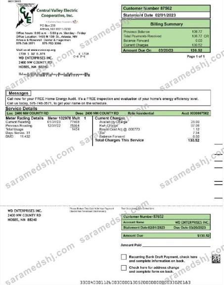 USA CENTRAL VALLEY ELECTRIC utility bill Word and PDF template